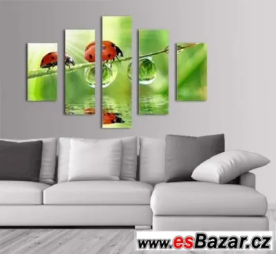 Fotoobraz, obraz - BERUŠKY BAREVNÉ - velikost 100 x 70 cm