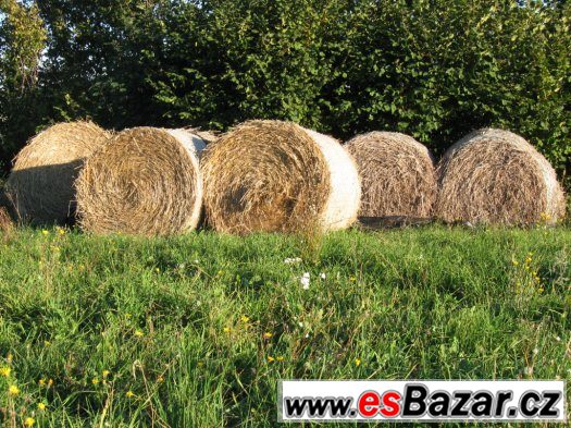 balíkovaná sláma – fotografie 2