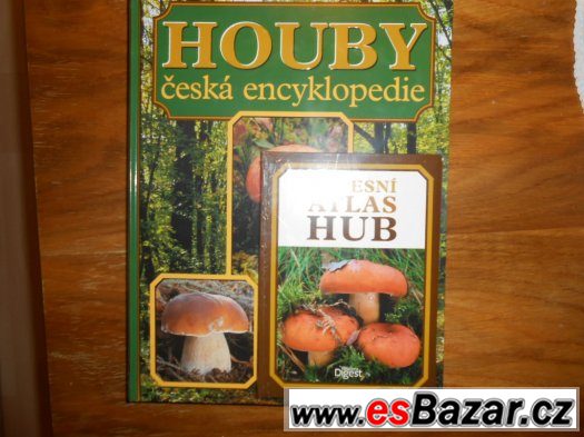 houby – fotografie 1