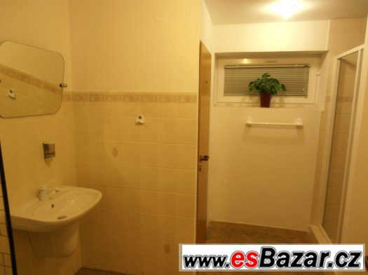 Nebytový prostor v Libčicích nad Vltavou 90 m2 – fotografie 4
