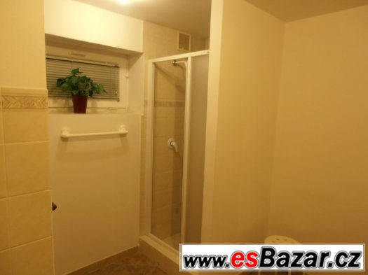 Nebytový prostor v Libčicích nad Vltavou 90 m2 – fotografie 5