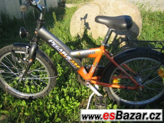 Dětské kolo Pegasus ZOOM 20" Shimano Nexus – fotografie 2