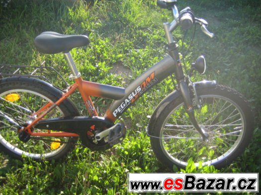 Dětské kolo Pegasus ZOOM 20" Shimano Nexus – fotografie 5