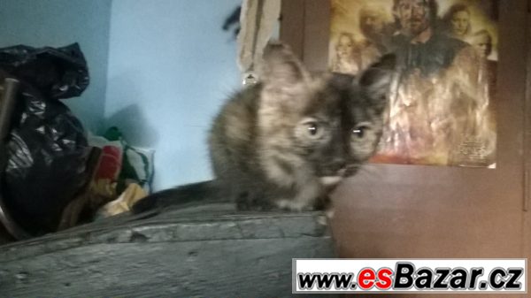 Kdo se nás ujme?    – fotografie 3