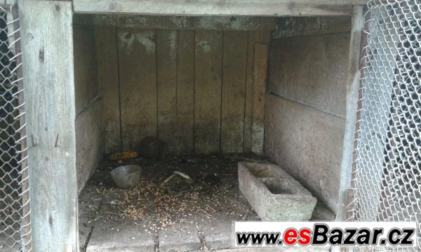 Koupím 20m2 podlahy – fotografie 3