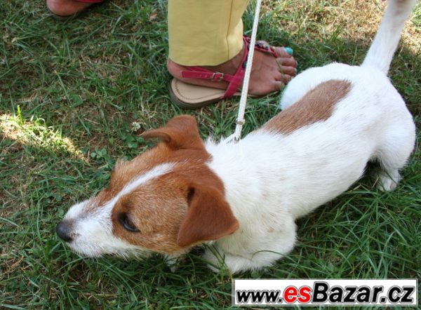 JRT s PP ke krytí – fotografie 3