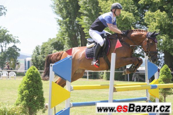 Klisna do vyššího sportu – fotografie 4