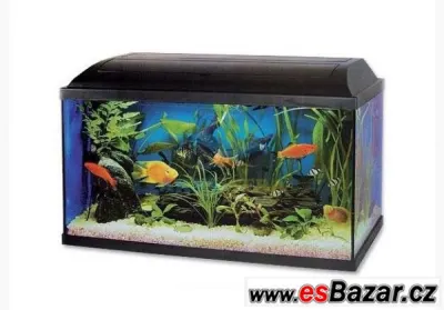 Akvárium set Pacific 60x30x30 54l