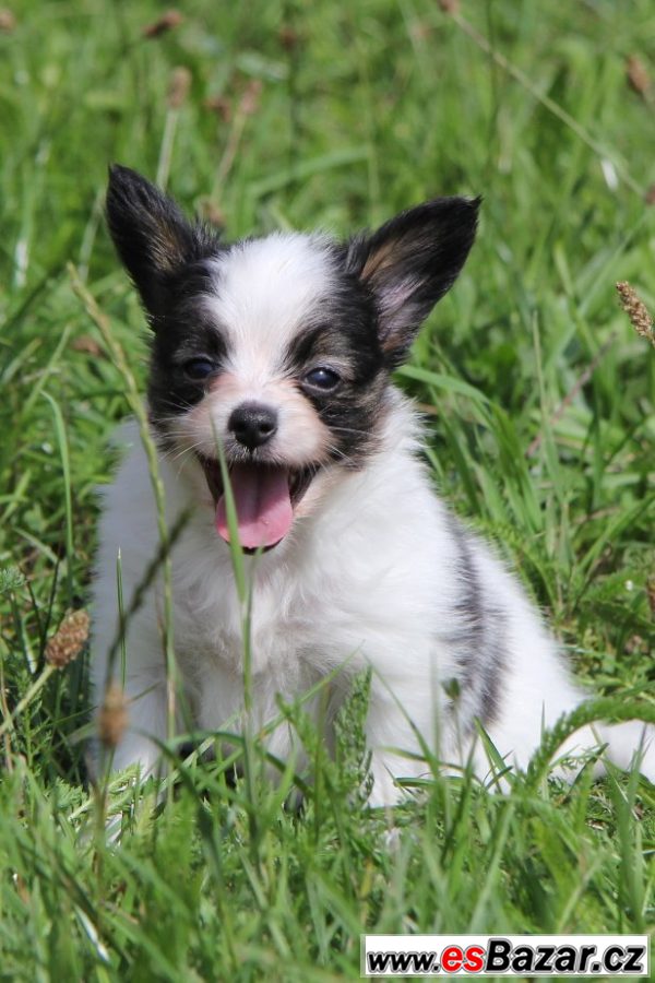 Ahooooj!!! – fotografie 1