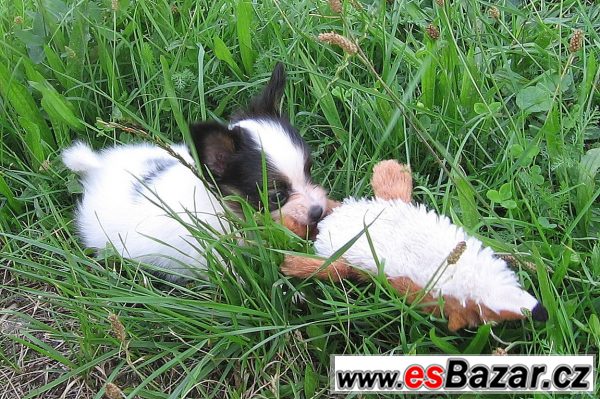 Ahooooj!!! – fotografie 5