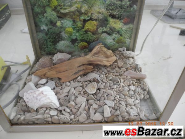 30L akvárium – fotografie 2