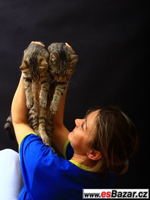 Daruji kočičku Katty – fotografie 5