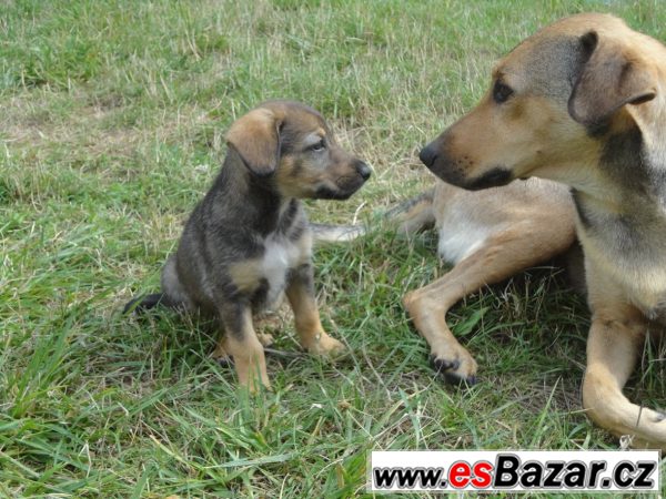 2 baterie a sprcha – fotografie 2