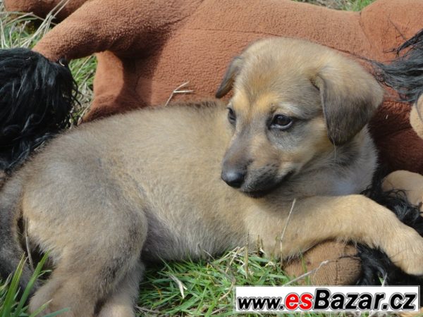 2 baterie a sprcha – fotografie 3