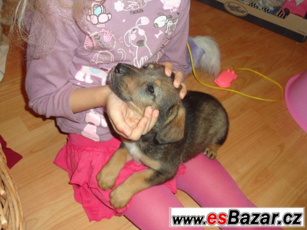 2 baterie a sprcha – fotografie 4