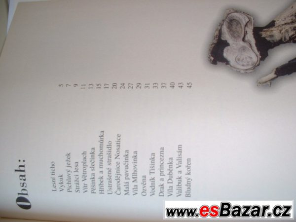 Z Tajemného lesa – fotografie 3