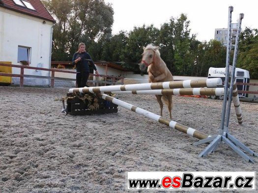 Krásná ponička na prodej – fotografie 1