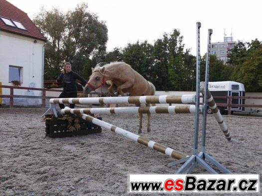 Krásná ponička na prodej – fotografie 3