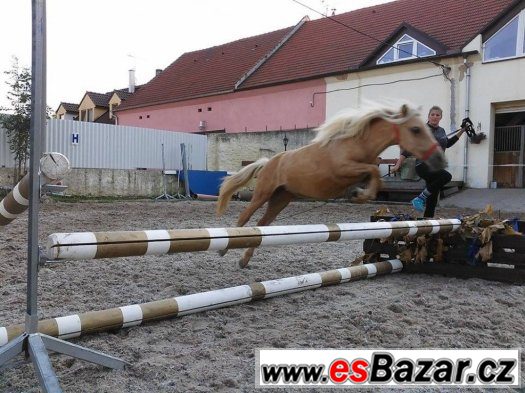 Krásná ponička na prodej – fotografie 5