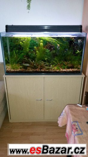 200l akvarium – fotografie 1