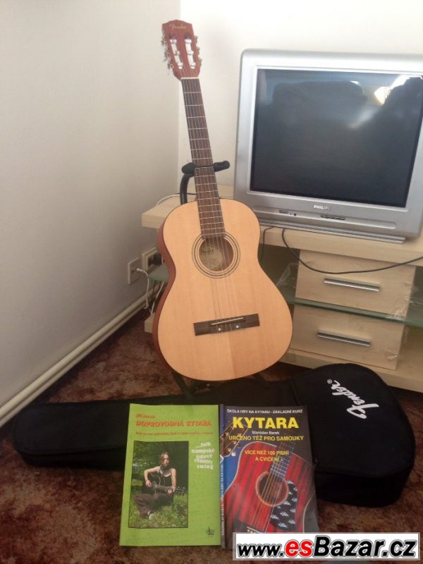 Kytara Fender – fotografie 1