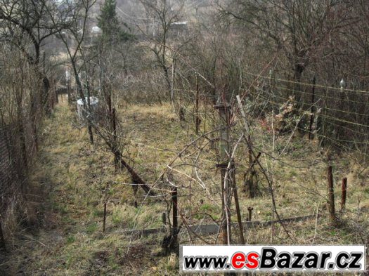 Chata Střelice u Brna, zahrada 1100m2 – fotografie 4