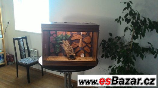 Prodám Terarium – fotografie 2
