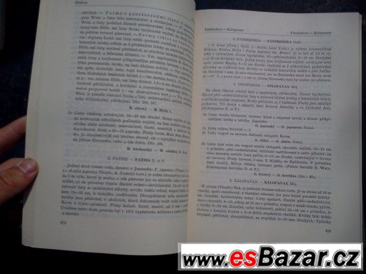 Listnaté stromy a keře našich zahrad a parků – fotografie 5