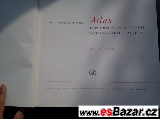 Atlas topografickej anatómie hospodarskych zvierat – fotografie 3