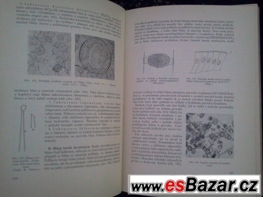 Obecná biologie – fotografie 3