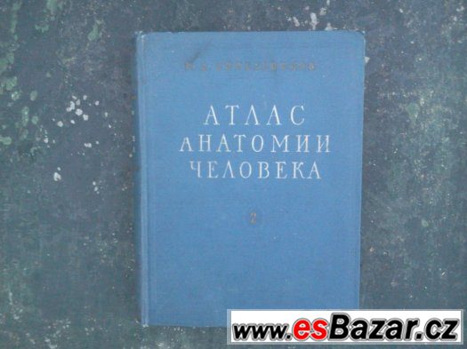 Anatomie člověka – fotografie 1
