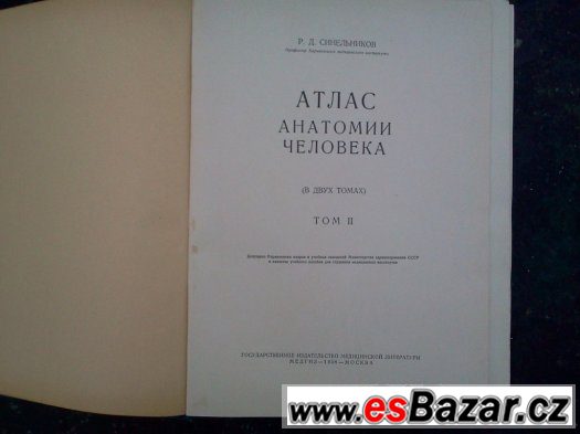 Anatomie člověka – fotografie 2