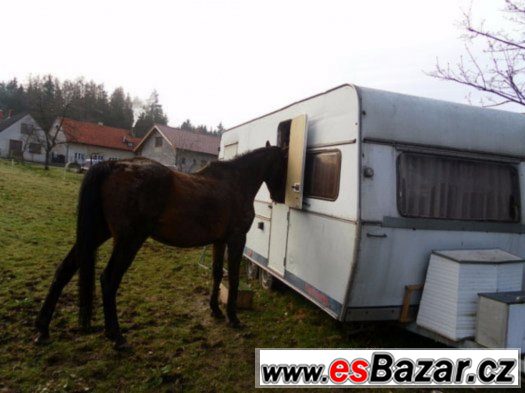 VYMĚNÍM KARAVAN – fotografie 2