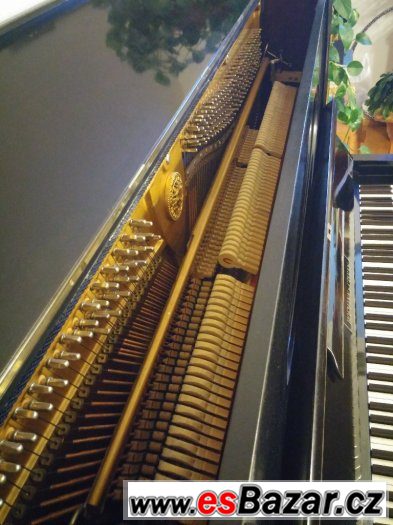 Prodam piano zn.HOFMANN&CZERNY – fotografie 5