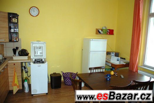 3+1 Olomoucká, cihla – fotografie 3