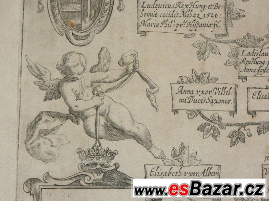 rodokmen českých králů z roku 1606 - Albizzi Florencie – fotografie 4