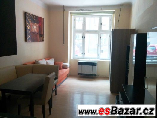 Krásný byt , 1+KK, OV, 23m2, Praha , Žižkov - Vinohrady – fotografie 1