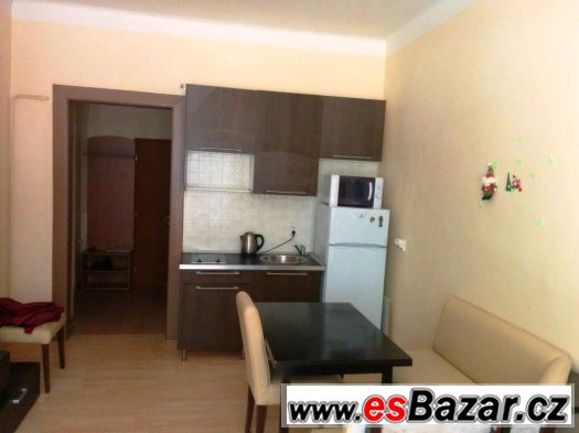 Krásný byt , 1+KK, OV, 23m2, Praha , Žižkov - Vinohrady – fotografie 2