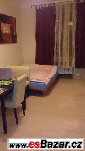Krásný byt , 1+KK, OV, 23m2, Praha , Žižkov - Vinohrady – fotografie 5