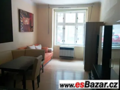 Krásný byt , 1+KK, OV, 23m2, Praha , Žižkov - Vinohrady