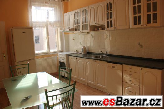 Krásný slunný byt , 2+1, 75m2, Praha 2, Lublaňská ulice – fotografie 4