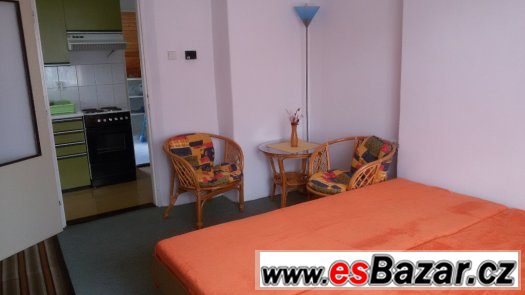 APARTMÁN v RD 1+1 s balkonem-okolí HK-super cena-bez kauce – fotografie 3