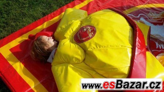 Sumo ring – fotografie 5