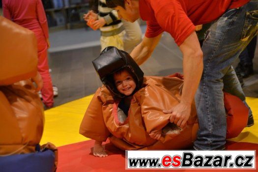 Sumo ring pro děti – fotografie 5