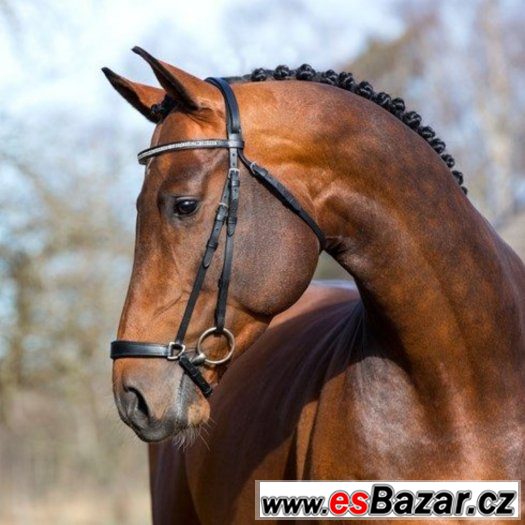 Pony uzdečka - hannoverský nánosník - NOVÁ – fotografie 1