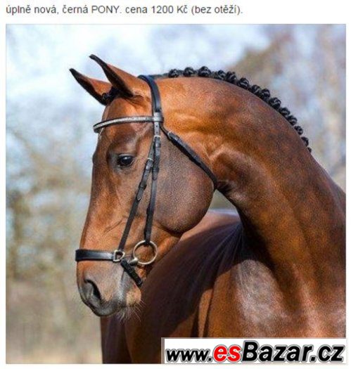 více věcí k prodeji - Uzdečka, dečka, deka, otěže, sedlo – fotografie 5
