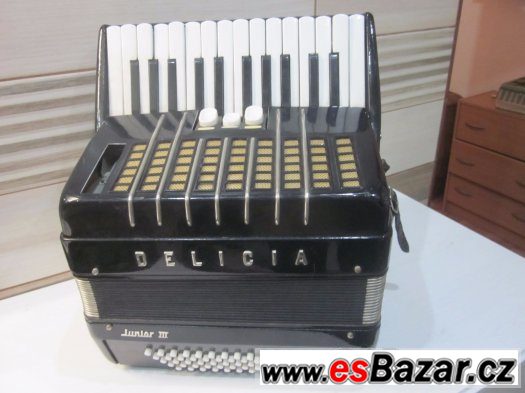 akordeon harmonika Delicia Junior – fotografie 2