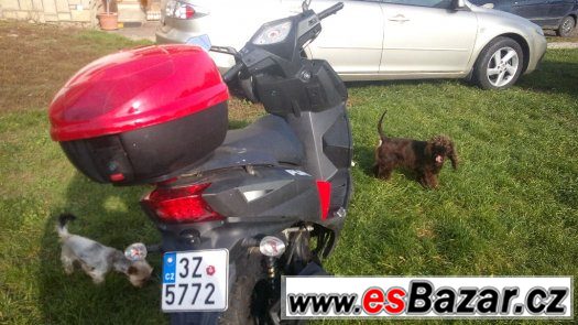 WANGYE KINGWAY 50 QT-7A  - zánovní - najeto jen 650km – fotografie 2