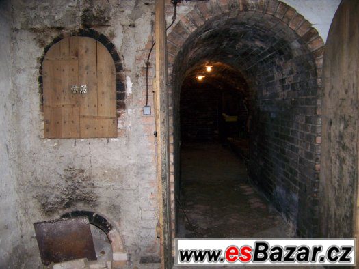 Prodej RD 5+1 Blučina, CP 320 m2 – fotografie 4