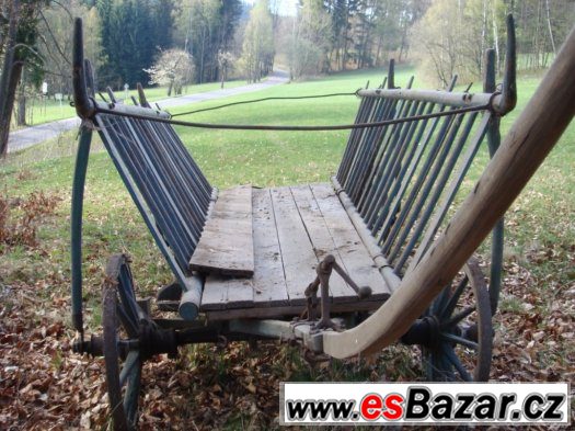 PRODÁM  Žebřiňák.... – fotografie 3